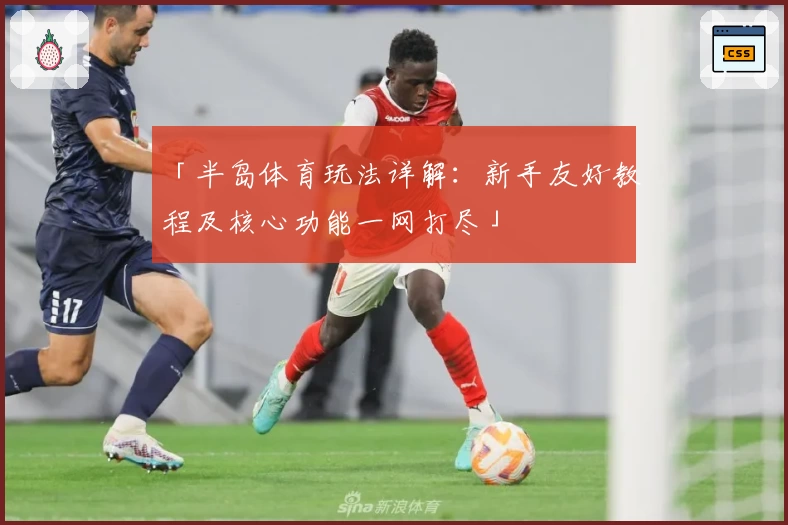 「半岛体育玩法详解：新手友好教程及核心功能一网打尽」