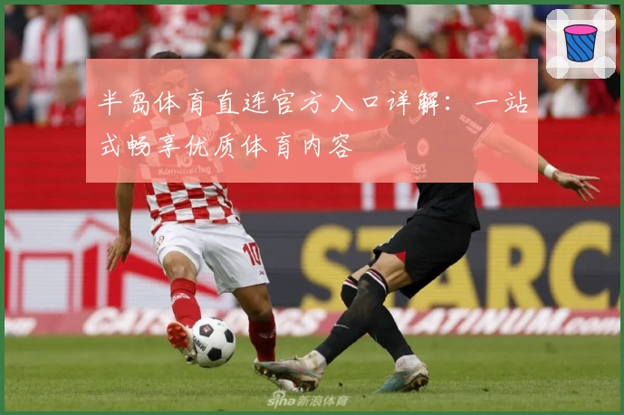 半岛体育直连官方入口详解：一站式畅享优质体育内容