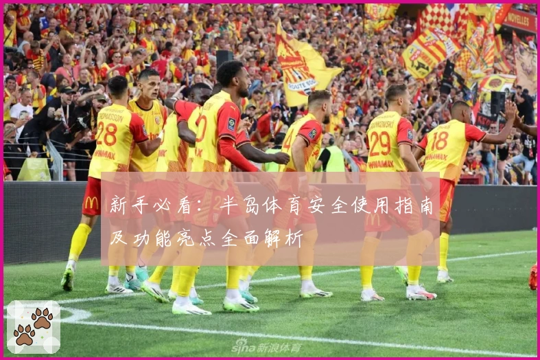 新手必看:半岛体育安全使用指南及功能亮点全面解析