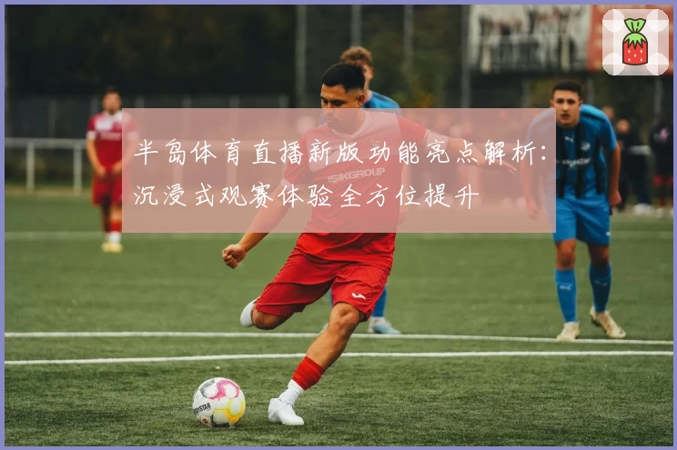 半岛体育直播新版功能亮点解析：沉浸式观赛体验全方位提升