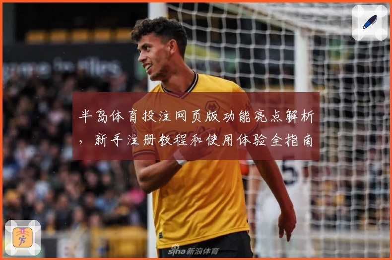 半岛体育投注网页版功能亮点解析,新手注册教程和使用体验全指南