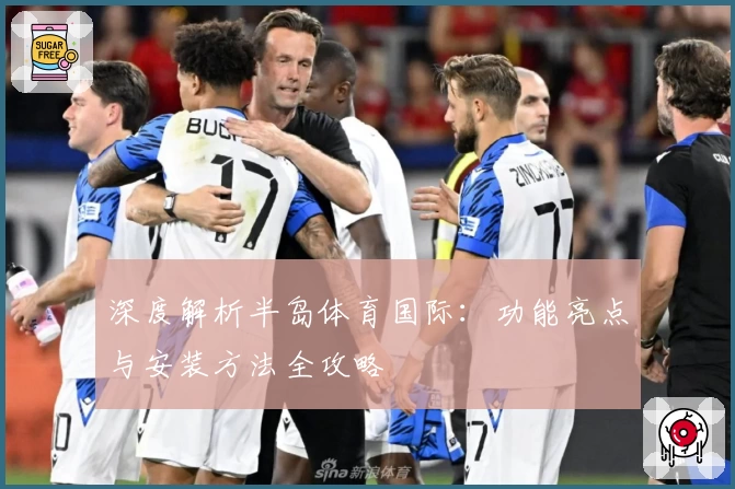 深度解析半岛体育国际：功能亮点与安装方法全攻略