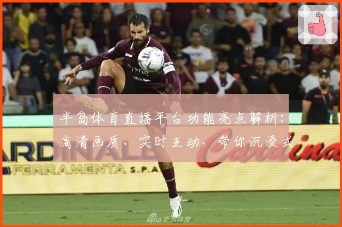 半岛体育直播平台功能亮点解析：高清画质、实时互动，带你沉浸式体验赛事魅力