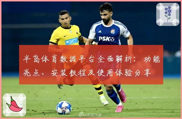半岛体育数据平台全面解析：功能亮点、安装教程及使用体验分享