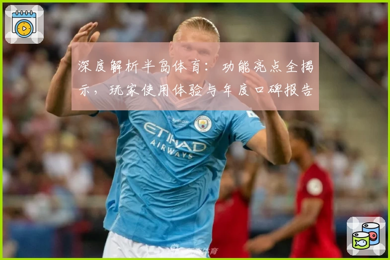 深度解析半岛体育：功能亮点全揭示，玩家使用体验与年度口碑报告出炉